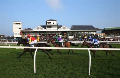 Catterick Racecards & Entries .